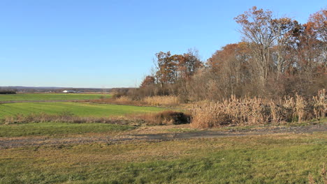 Pine-Island-New-York-fields-and-woods