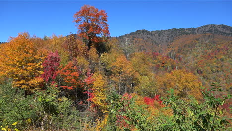 North-Carolina-Appalachian-fall-color-pan-left
