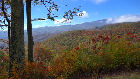 North-Carolina-Appalachian-fall