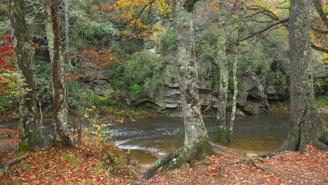 North-Carolina-Appachian-River-Mit-Bäumen-Auf-Bank.mov