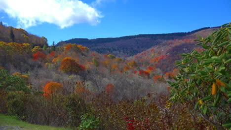 Carolina-Del-Norte-Blue-Ridge-Fall.mov