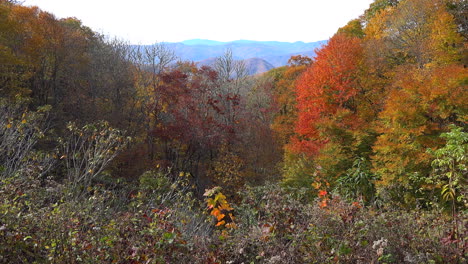 North-Carolina-Great-Smoky-Mountains-in-fall-pan