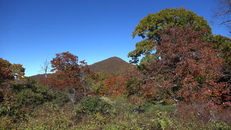 Carolina-Del-Norte-Mt-Pisgah-In-The-Distance.mov