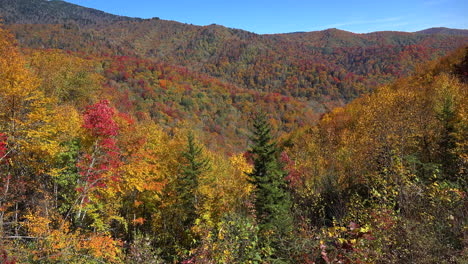 North-Carolina-Smoky-Mountain-fall-color