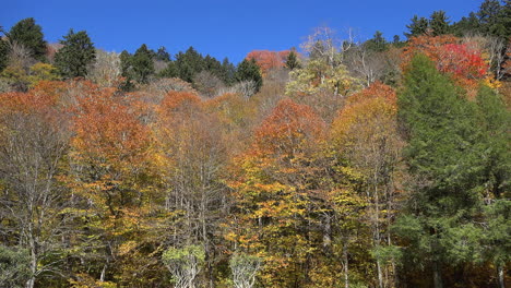 Nordcarolina-Rauchige-Berge-Bunter-Herbsthang