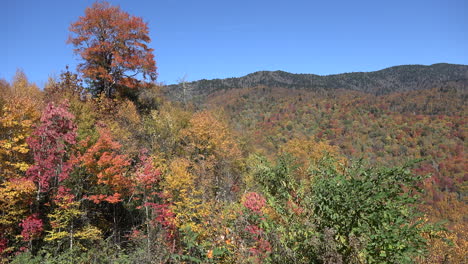 Montañas-Humeantes-De-Carolina-Del-Norte-Con-Color-De-Otoño
