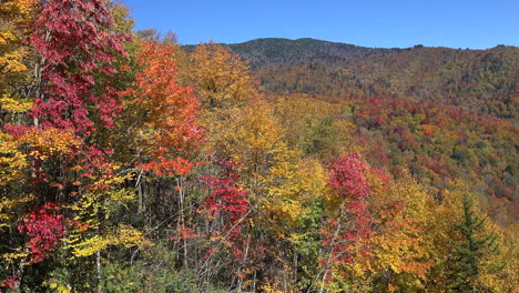 North-Carolina-colorful-fall-pan