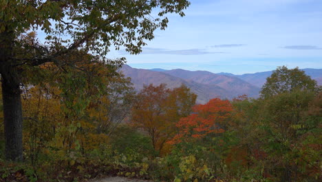 North-Carolina-colorful-fall-trees
