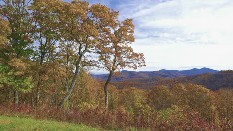 North-Carolina-oak-trees-frame-mountain-view