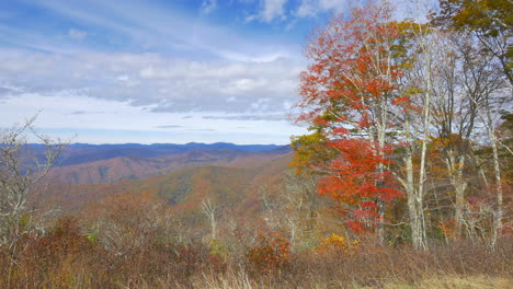 North-Carolina-red-leaves-on-tree-with-Smoky-Mountain-view