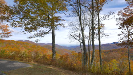 North-Carolina-view-with-trees-in-the-Great-Smoky-Mountains