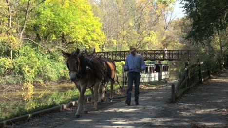 Ohio-Miami-and-Erie-Canal-with-boat-and-mule