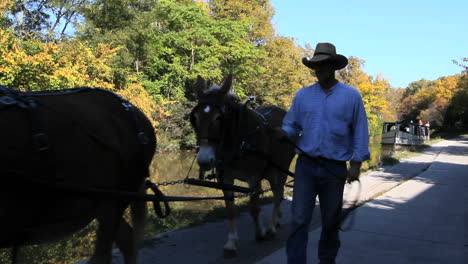 Ohio-Barcaza-Tirada-Por-Caballos-En-Miami-Y-Erie-Canal