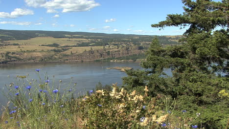 Oregon-Columbia-Schlucht-Memeloose-überblick-Mit-Blumen