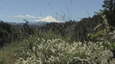 Oregon-Mount-Haube-Und-Gras