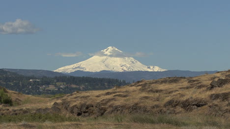 Oregon-Mount-Hood-Y-Pastizales