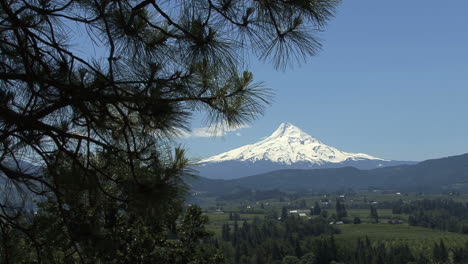 Oregon-Mount-Haube-Und-Tannenzweig