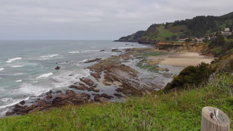 Jardines-Marinos-De-La-Costa-De-Oregón-Marea-Baja