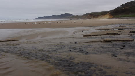 Oregon-coast-stream-low-tide