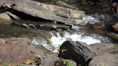 Los-Rápidos-De-Tennessee-Fluyen-Sobre-Las-Rocas