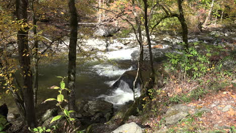 Tennessee-Smoky-Mountains-Stromschnellen-In-Einem-Waldbach