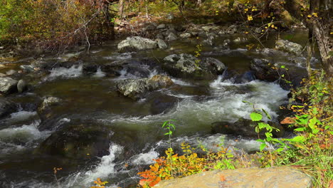 Tennessee-Smoky-Mountians-Hermoso-Arroyo