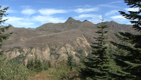 Washington-Mount-St.-Helens-hill-with-down-trees