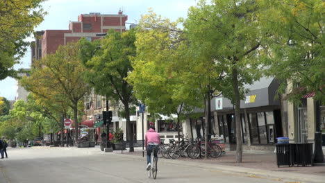 Wisconsin-Madison-State-Street-Con-Bicicleta