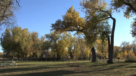 Wyoming-Fort-Laramie-Park-Bäume