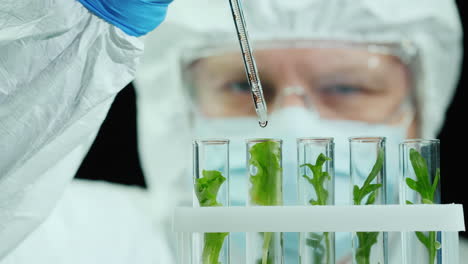 Scientist-in-protective-jumpsuit-and-glasses-works-in-the-laboratory-with-samples-of-plants