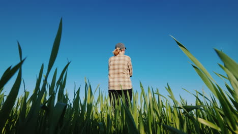 A-Female-Farmer-Stands-Alone-In-A-Field-Of-Green-Wheat-View-From-Behind
