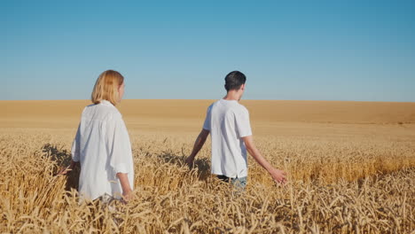 A-man-and-a-woman-walk-through-a-field-of-ripe-wheat