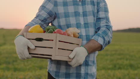 A-farmer-carries-a-box-of-fresh-vegetables-from-his-field-6