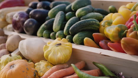 Vegetable-counter-at-farmers-market-2