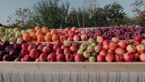 Fruta-Madura-En-El-Mostrador-Del-Mercado-De-Agricultores-2