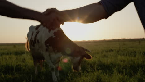 Two-farmers-shake-hands-in-a-close-up