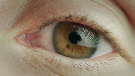 Macro-shot-of-middle-aged-woman's-brown-eye