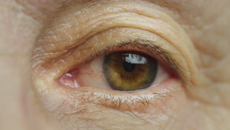 Macro-shot-of-middle-aged-woman's-brown-eye-1