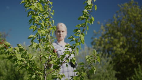 Woman-sprays-trees-in-garden-pest-treatment-2