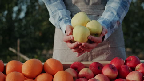 Bauernhände-Mit-Weißen-Saftigen-Äpfeln