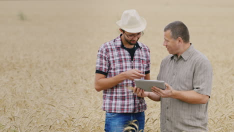 Dos-Agricultores-Que-Trabajan-En-Un-Campo-De-Trigo-Con-Una-Tableta
