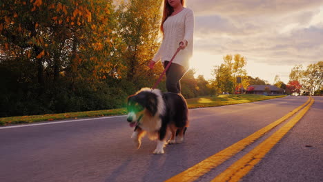 A-young-woman-walking-her-dog-at-sunset-by-a-lake-1