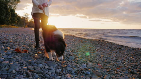 Eine-Junge-Frau-Geht-Mit-Ihrem-Hund-Bei-Sonnenuntergang-An-Einem-See-Spazieren-4