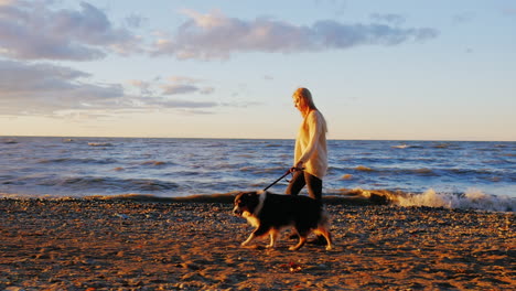 Eine-Junge-Frau-Geht-Mit-Ihrem-Hund-Bei-Sonnenuntergang-An-Einem-See-Spazieren-5