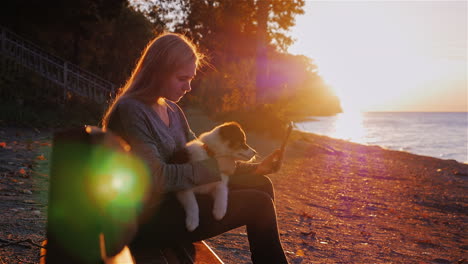 Eine-Frau-Ruht-Mit-Einem-Hund,-Der-Auf-Einer-Bank-Sitzt,-Vor-Dem-Hintergrund-Eines-Wunderschönen-Sonnenuntergangs-über-Dem-See-Ontario-1