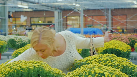 Young-Caucasian-Woman-Chooses-Flowers-For-Landscaping-In-The-Nursery