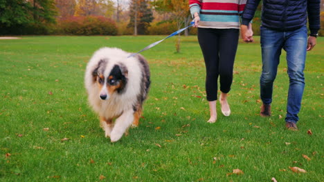 Young-Couple-Holding-Hands-Walking-With-A-Dog-In-The-Park-1