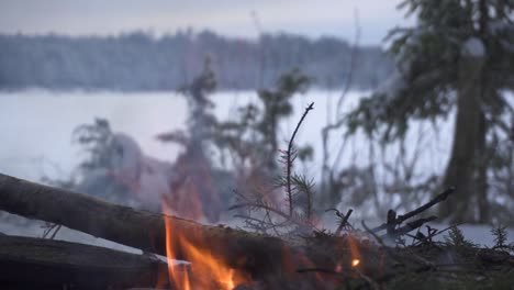 Feurige-Flammen-Eines-Brennenden-Waldes-In-Einem-Winterlagerfeuer
