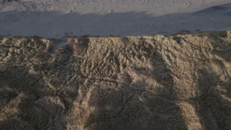 Ridge-of-sandy-dunes-leading-towards-ocean-beach,-aerial-top-down-shot