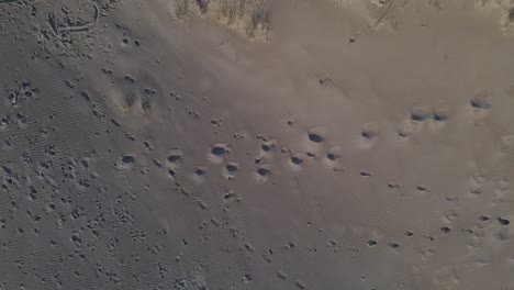 Many-footprints-in-empty-sandy-beach,-aerial-top-down-ascend-shot